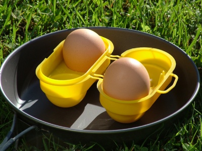 Egg Box (2 or 6 Eggs)